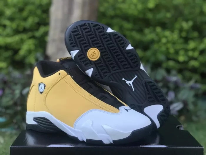 Authentic Air Jordan 14 “Ginger”