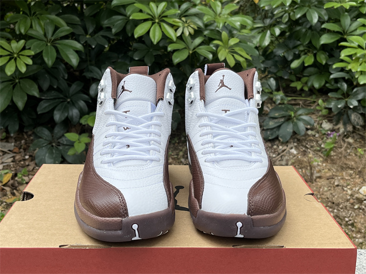 Authentic SoleFly x Air Jordan 12