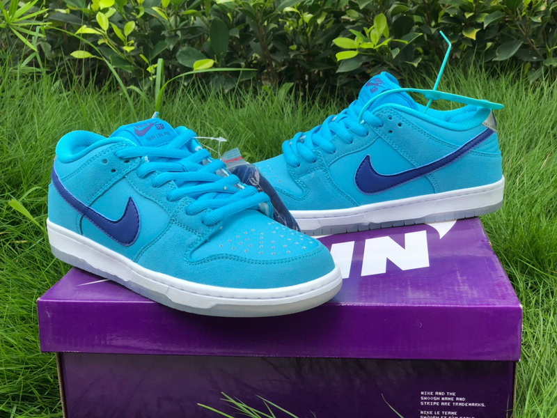 Authentic Nike SB Dunk Low Pro Blue Fury