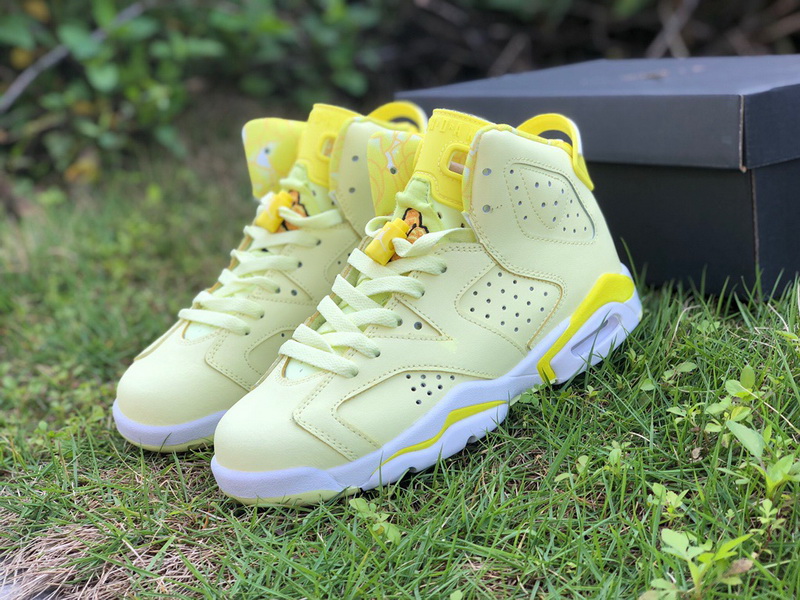 Authentic Air Jordan 6 “Floral”GS 