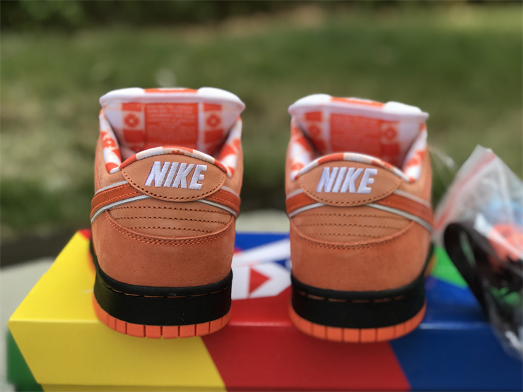 Authentic Concepts x Nike SB Dunk Low