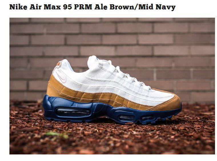 Nike Air Max 95 women shoes-101