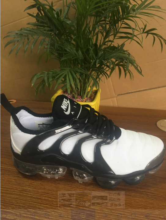 Nike Air Max TN Plus men shoes-106