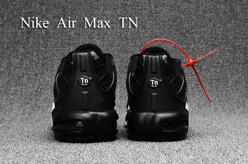 Nike Air Max TN Plus men shoes-130