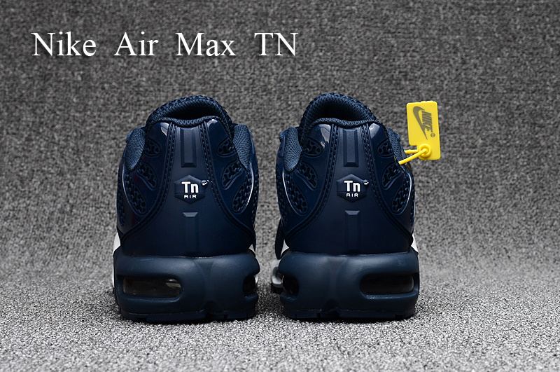 Nike Air Max TN Plus men shoes-131