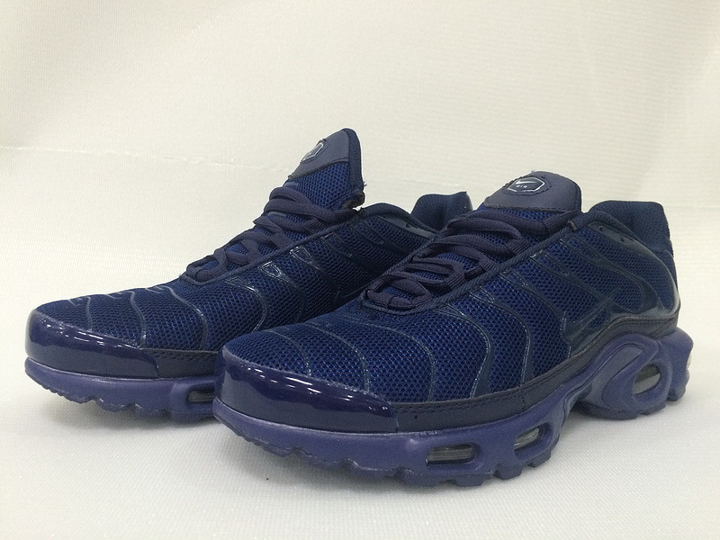 Nike Air Max TN Plus men shoes-207