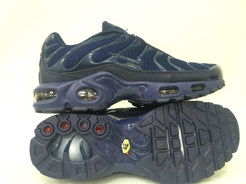 Nike Air Max TN Plus men shoes-207