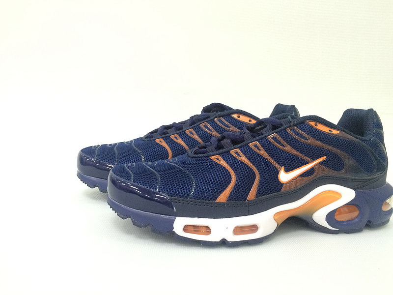 Nike Air Max TN Plus men shoes-210