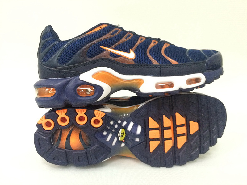 Nike Air Max TN Plus men shoes-210