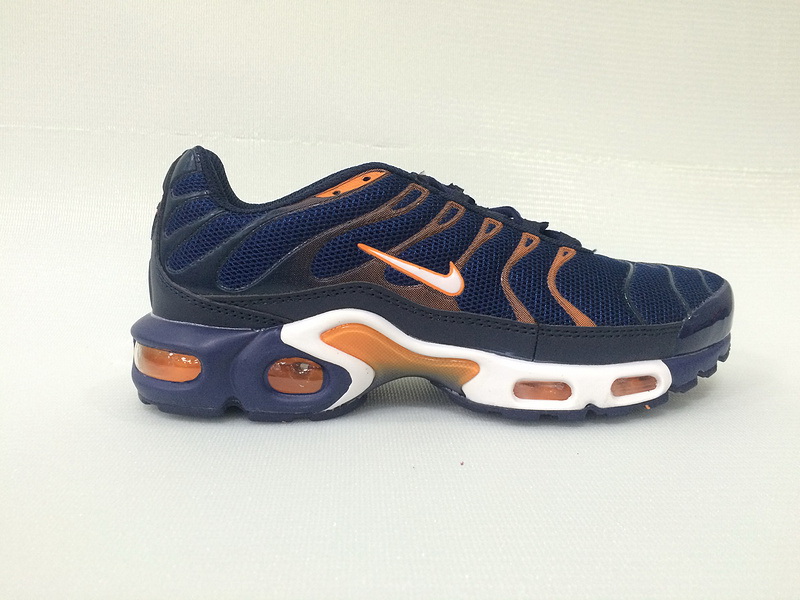 Nike Air Max TN Plus men shoes-210