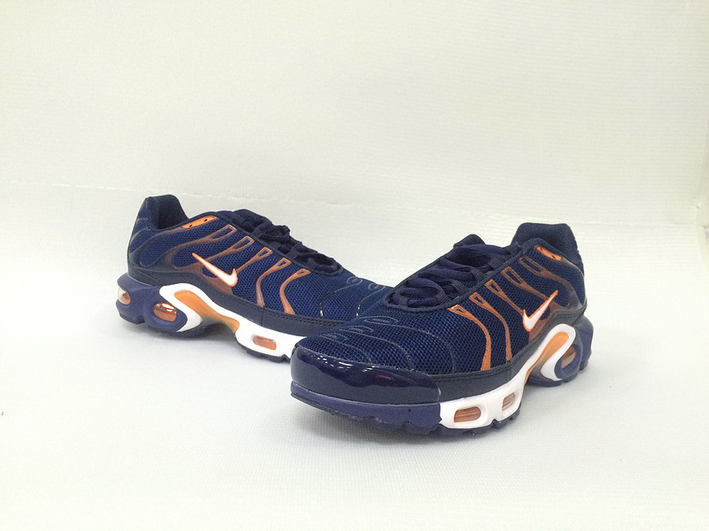 Nike Air Max TN Plus men shoes-210