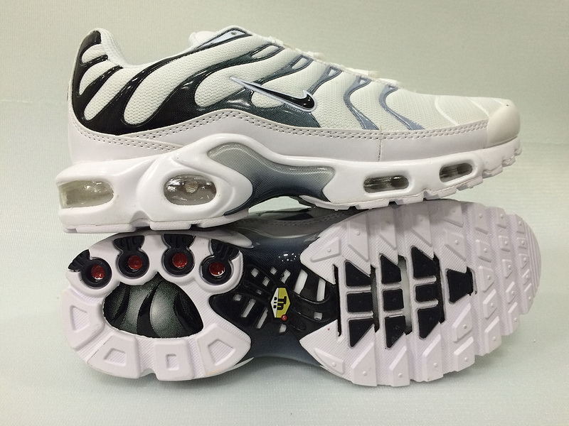 Nike Air Max TN Plus men shoes-211