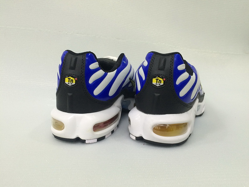 Nike Air Max TN Plus men shoes-218