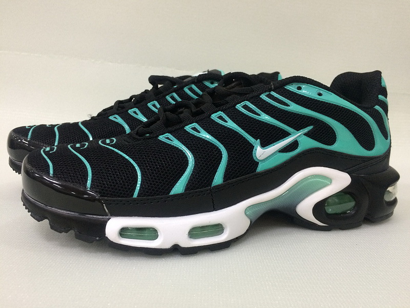 Nike Air Max TN Plus men shoes-222