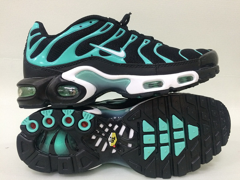 Nike Air Max TN Plus men shoes-222