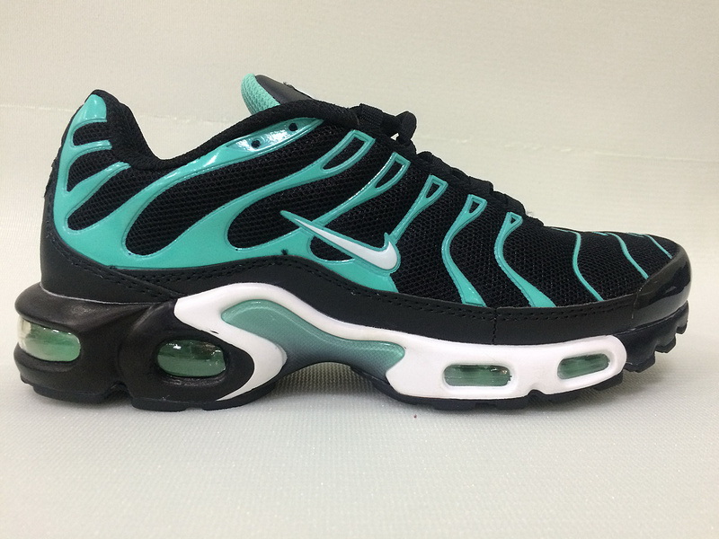 Nike Air Max TN Plus men shoes-222