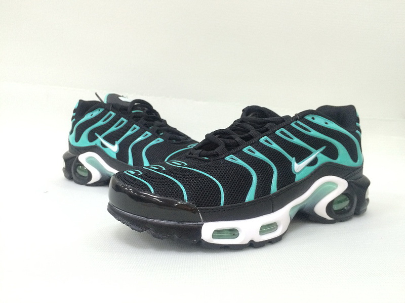 Nike Air Max TN Plus men shoes-222