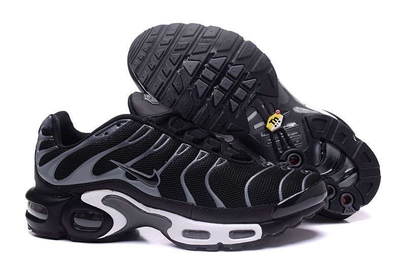 Nike Air Max TN Plus men shoes-258