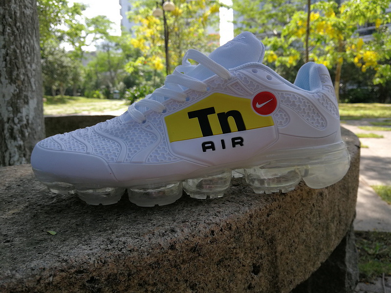 Nike Air Max TN Plus men shoes-289