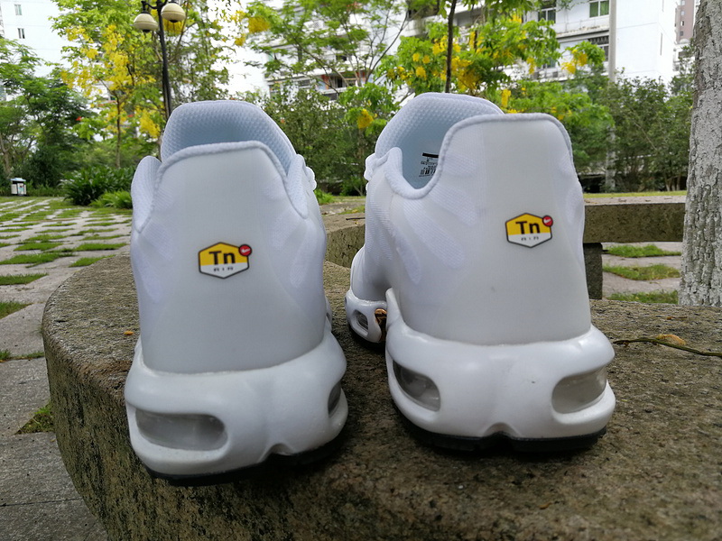 Nike Air Max TN Plus men shoes-294