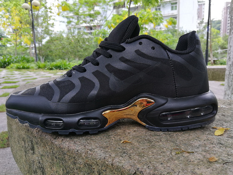 Nike Air Max TN Plus men shoes-295