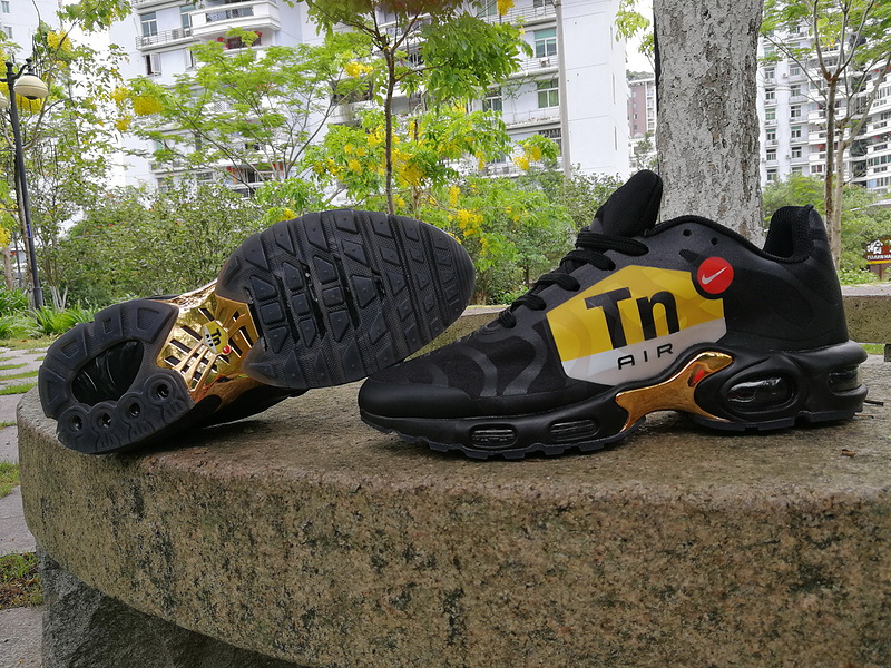 Nike Air Max TN Plus men shoes-295