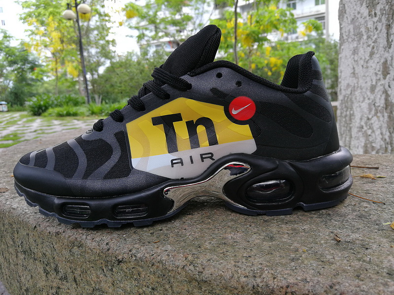 Nike Air Max TN Plus men shoes-297