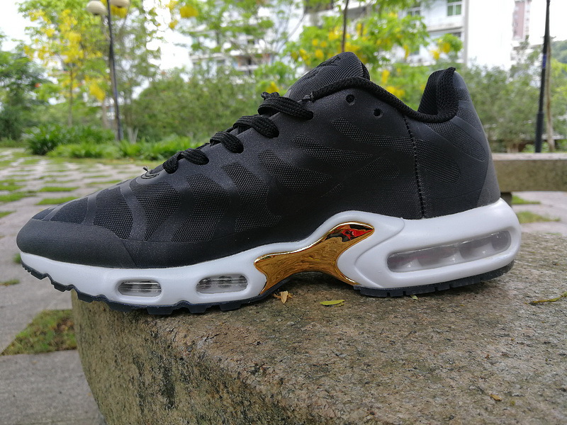 Nike Air Max TN Plus men shoes-298