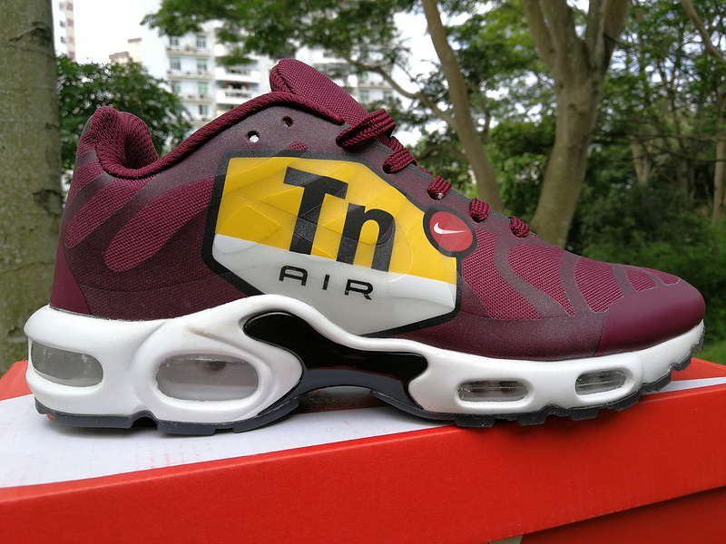 Nike Air Max TN Plus men shoes-301