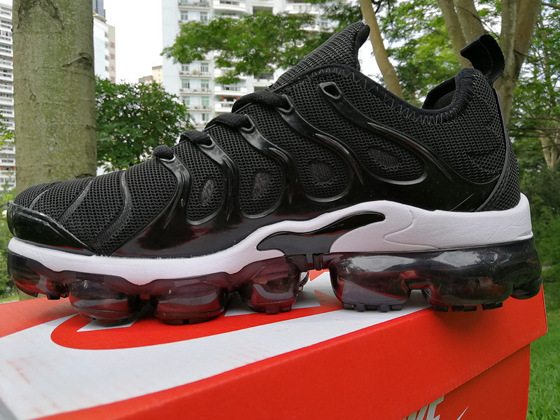 Nike Air Max TN Plus men shoes-302