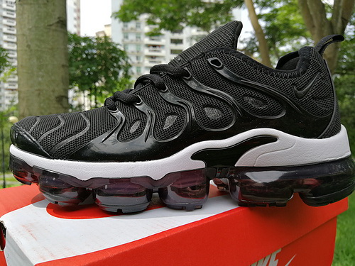 Nike Air Max TN Plus men shoes-302