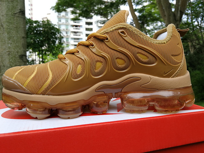 Nike Air Max TN Plus men shoes-304