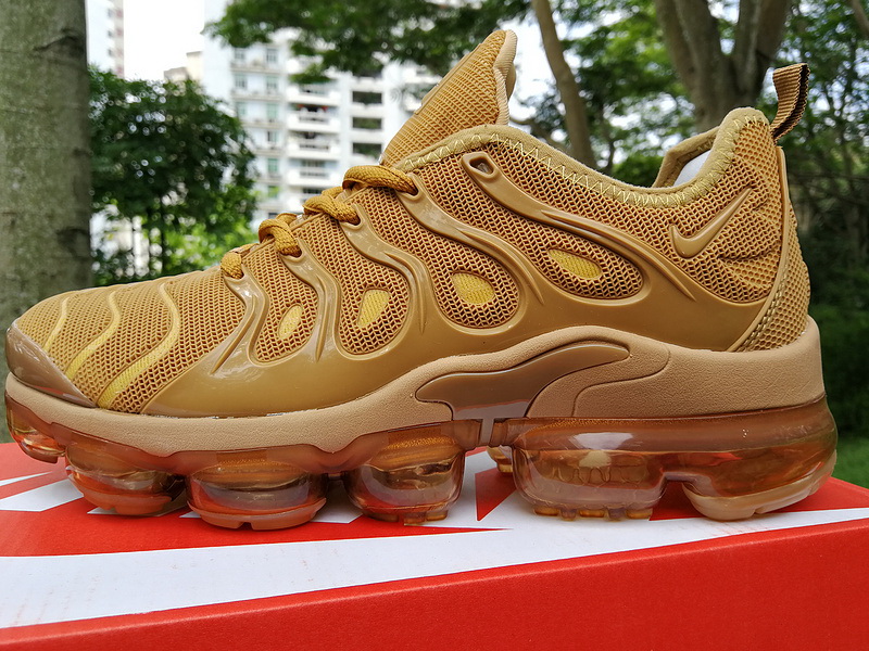 Nike Air Max TN Plus men shoes-304