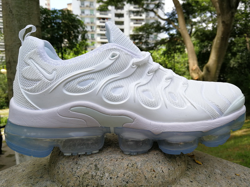 Nike Air Max TN Plus men shoes-305