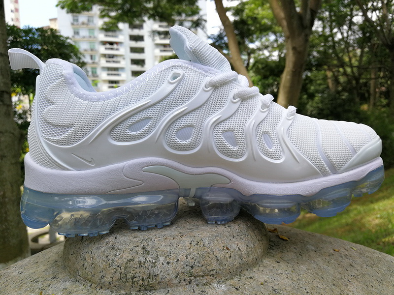 Nike Air Max TN Plus men shoes-305