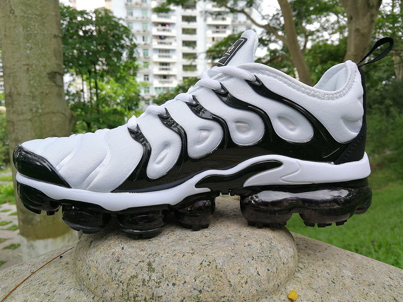 Nike Air Max TN Plus men shoes-308