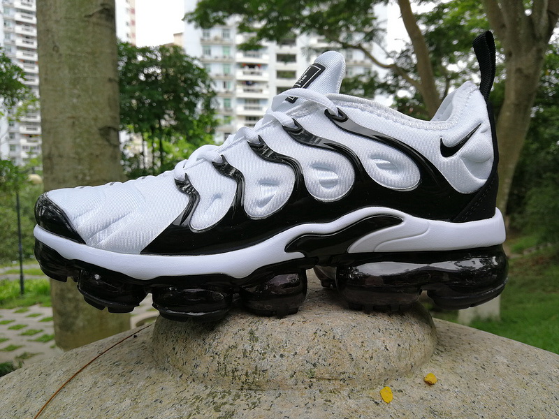 Nike Air Max TN Plus men shoes-308