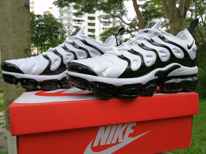 Nike Air Max TN Plus men shoes-308