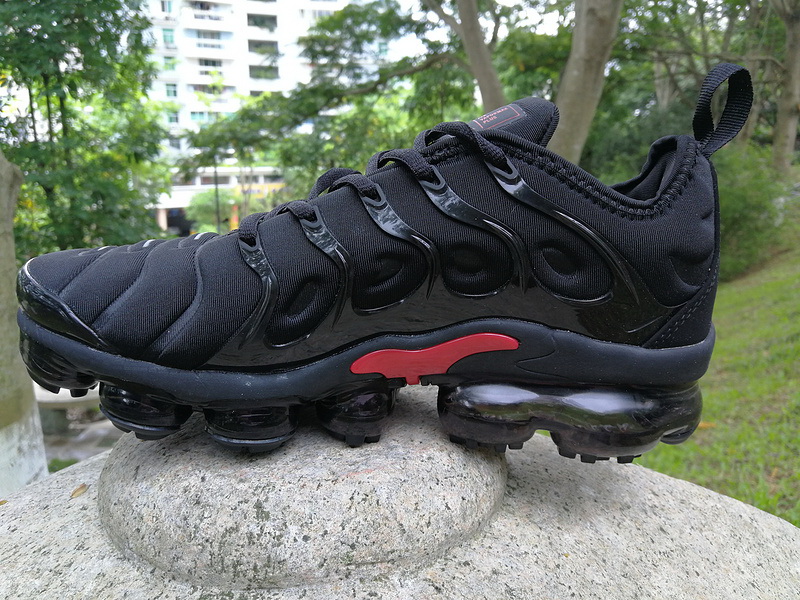 Nike Air Max TN Plus men shoes-309