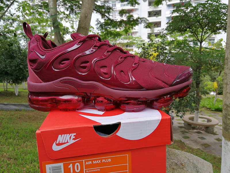 Nike Air Max TN Plus men shoes-312