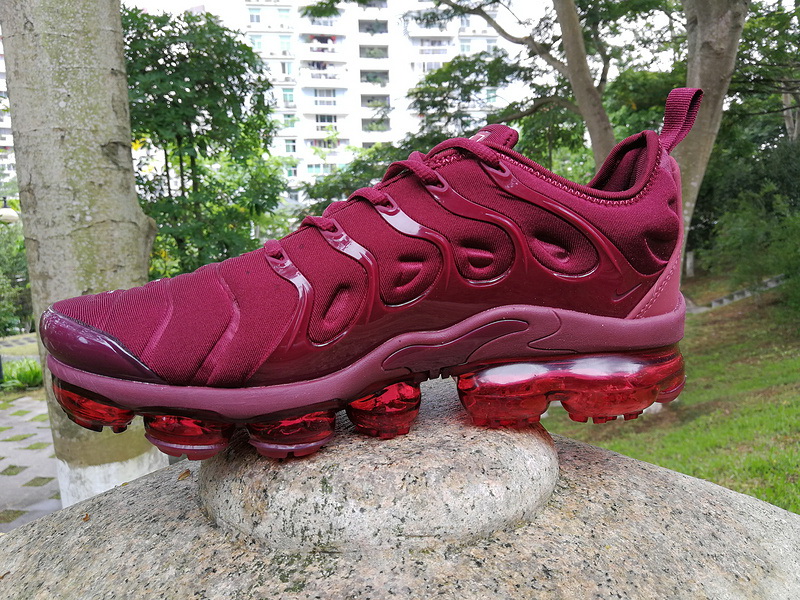 Nike Air Max TN Plus men shoes-312