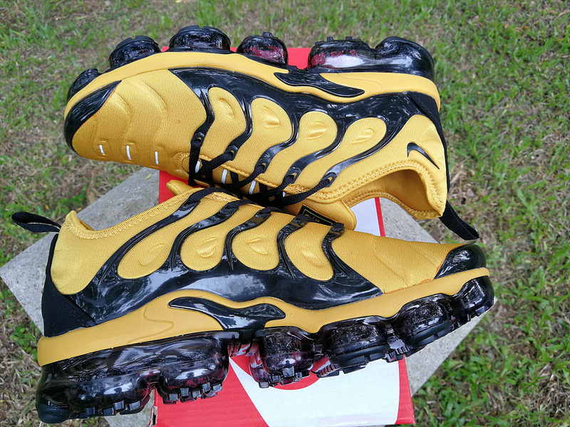 Nike Air Max TN Plus men shoes-313