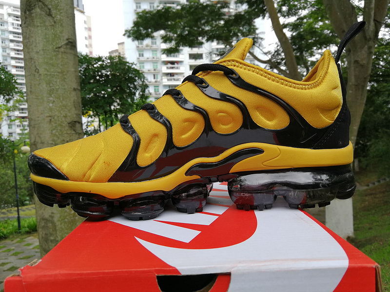 Nike Air Max TN Plus men shoes-313