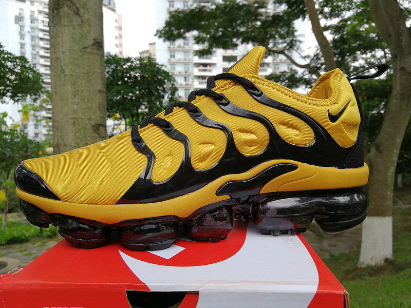 Nike Air Max TN Plus men shoes-313