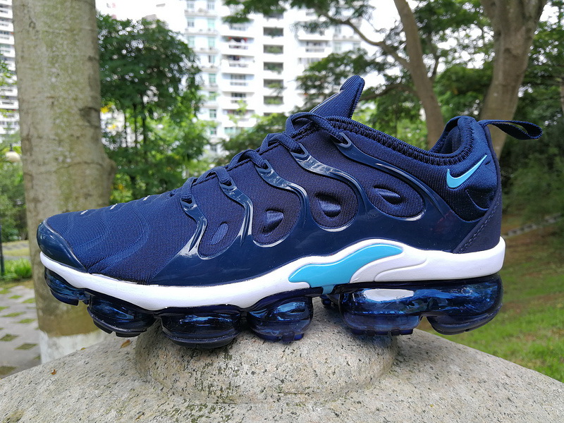 Nike Air Max TN Plus men shoes-314