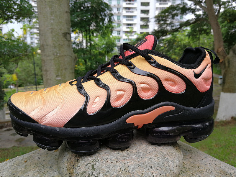 Nike Air Max TN Plus men shoes-315