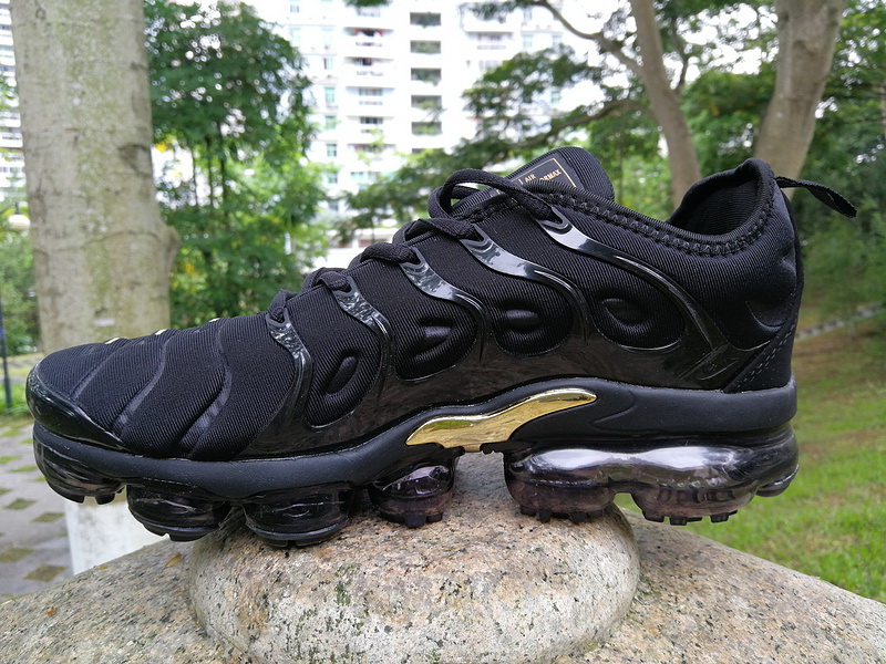 Nike Air Max TN Plus men shoes-318