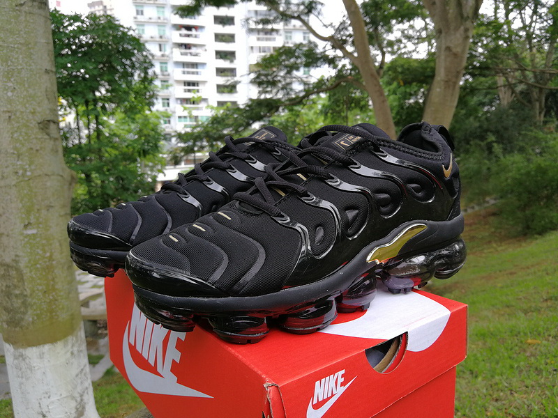 Nike Air Max TN Plus men shoes-318