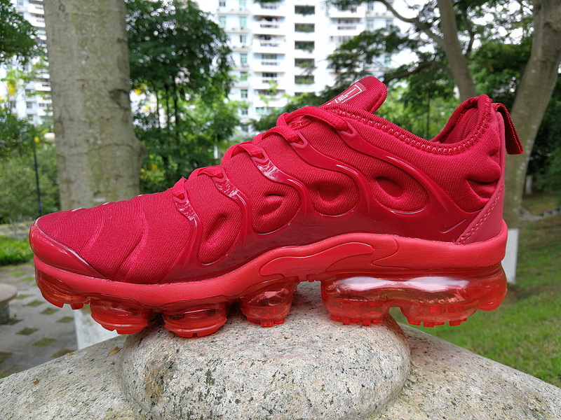 Nike Air Max TN Plus men shoes-320