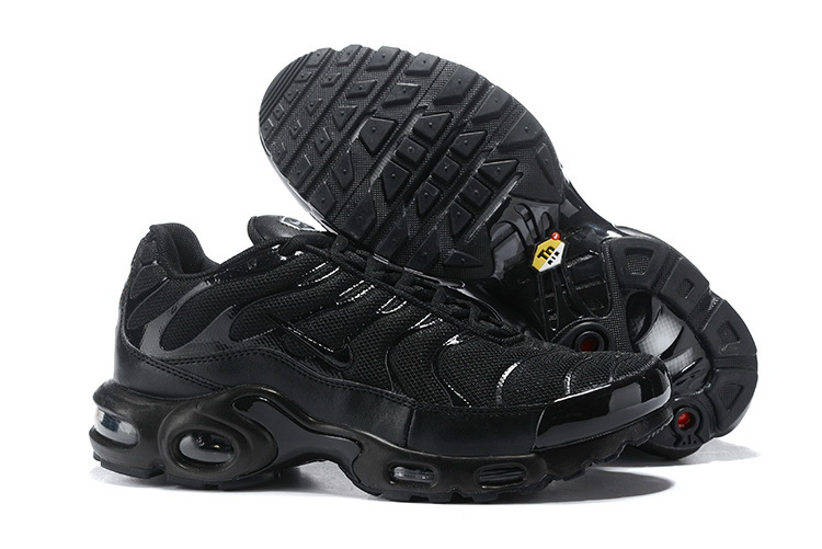 Nike Air Max TN Plus men shoes-407